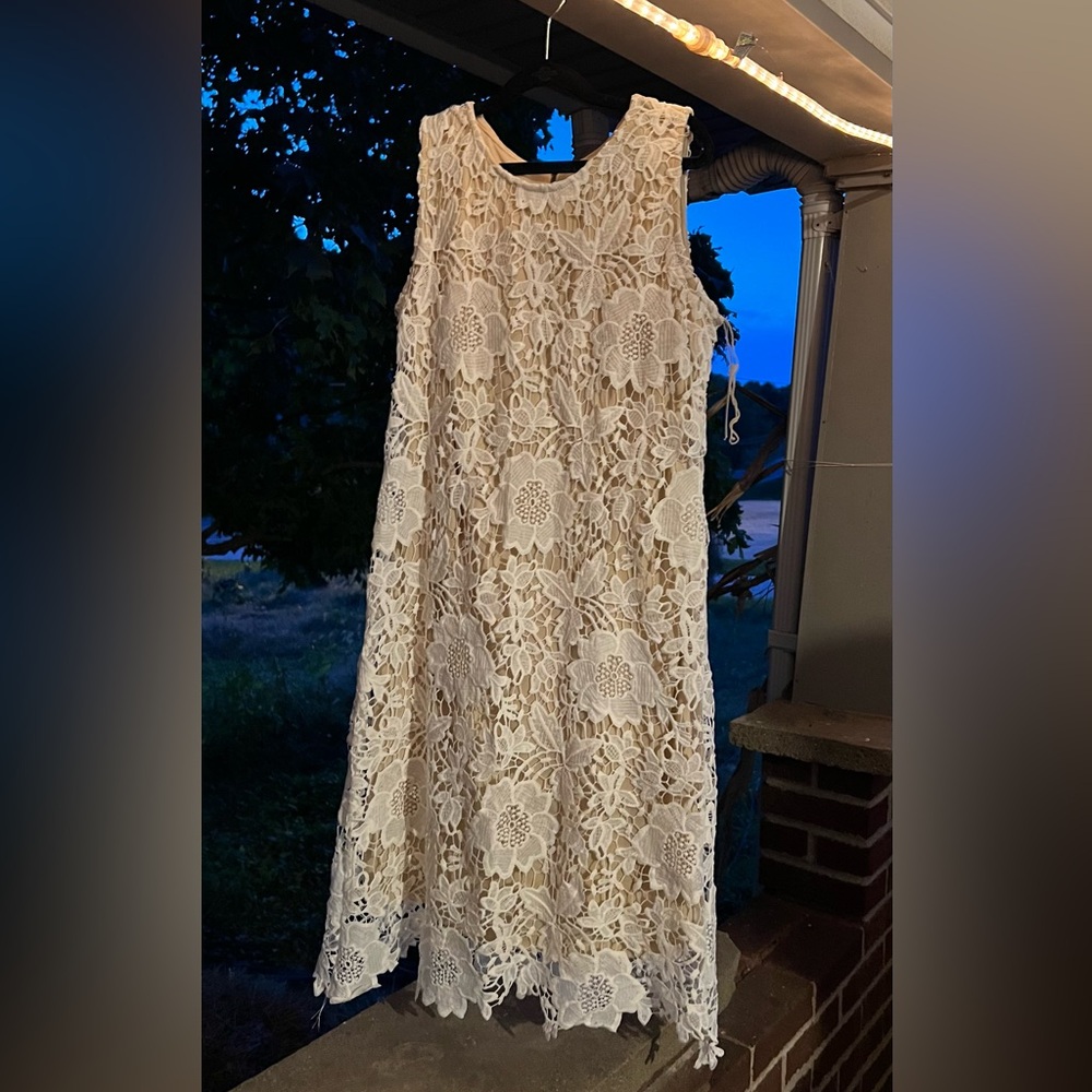 Dress Barn White and Campaign Floral Dress